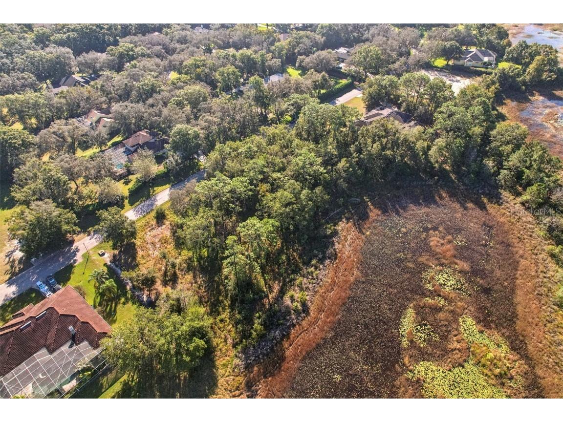 12347 Quail Ridge Drive Spring Hill FL 34610 TB8443605 image10