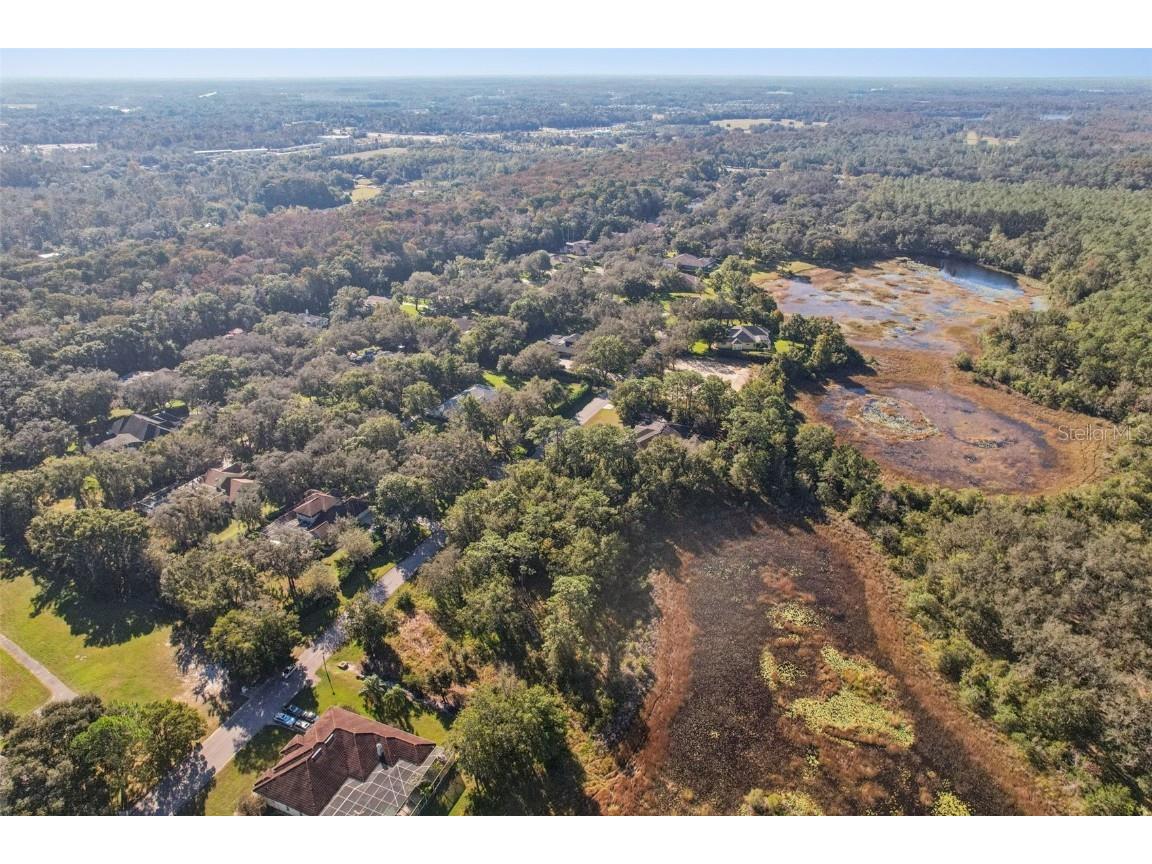 12347 Quail Ridge Drive Spring Hill FL 34610 TB8443605 image11