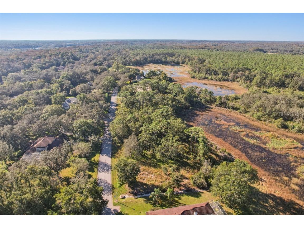 12347 Quail Ridge Drive Spring Hill FL 34610 TB8443605 image12