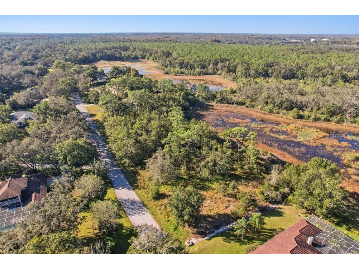 12347 Quail Ridge Drive Spring Hill FL 34610 TB8443605 image13