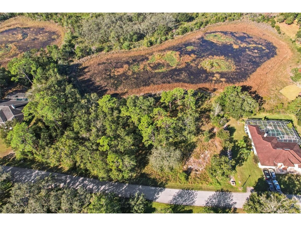 12347 Quail Ridge Drive Spring Hill FL 34610 TB8443605 image14