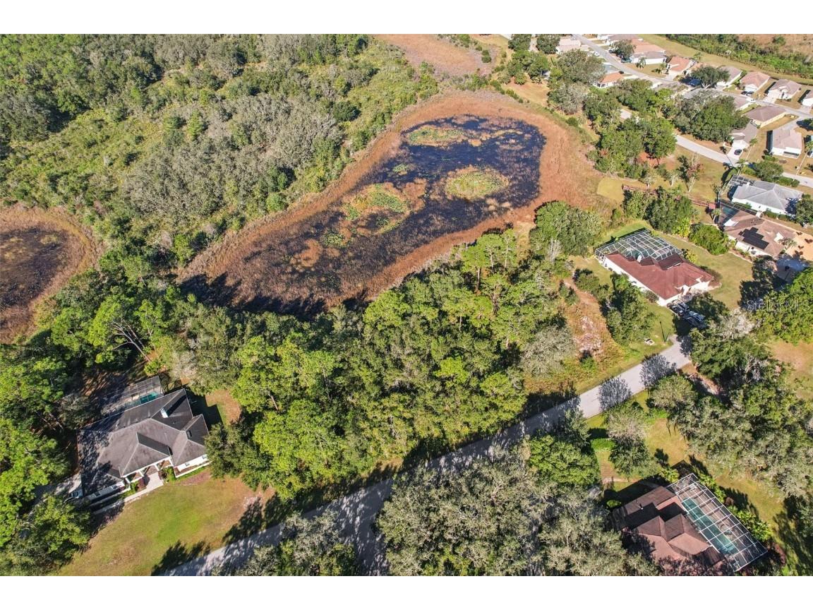 12347 Quail Ridge Drive Spring Hill FL 34610 TB8443605 image15