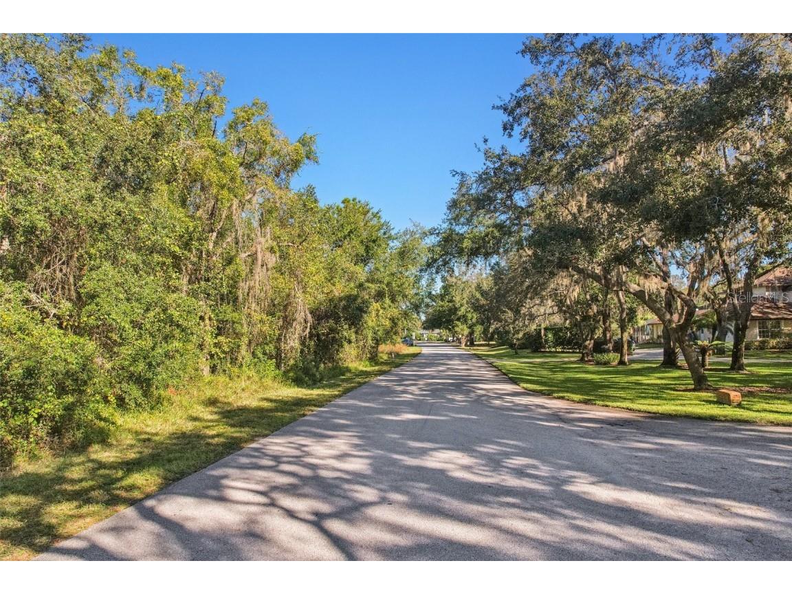 12347 Quail Ridge Drive Spring Hill FL 34610 TB8443605 image2