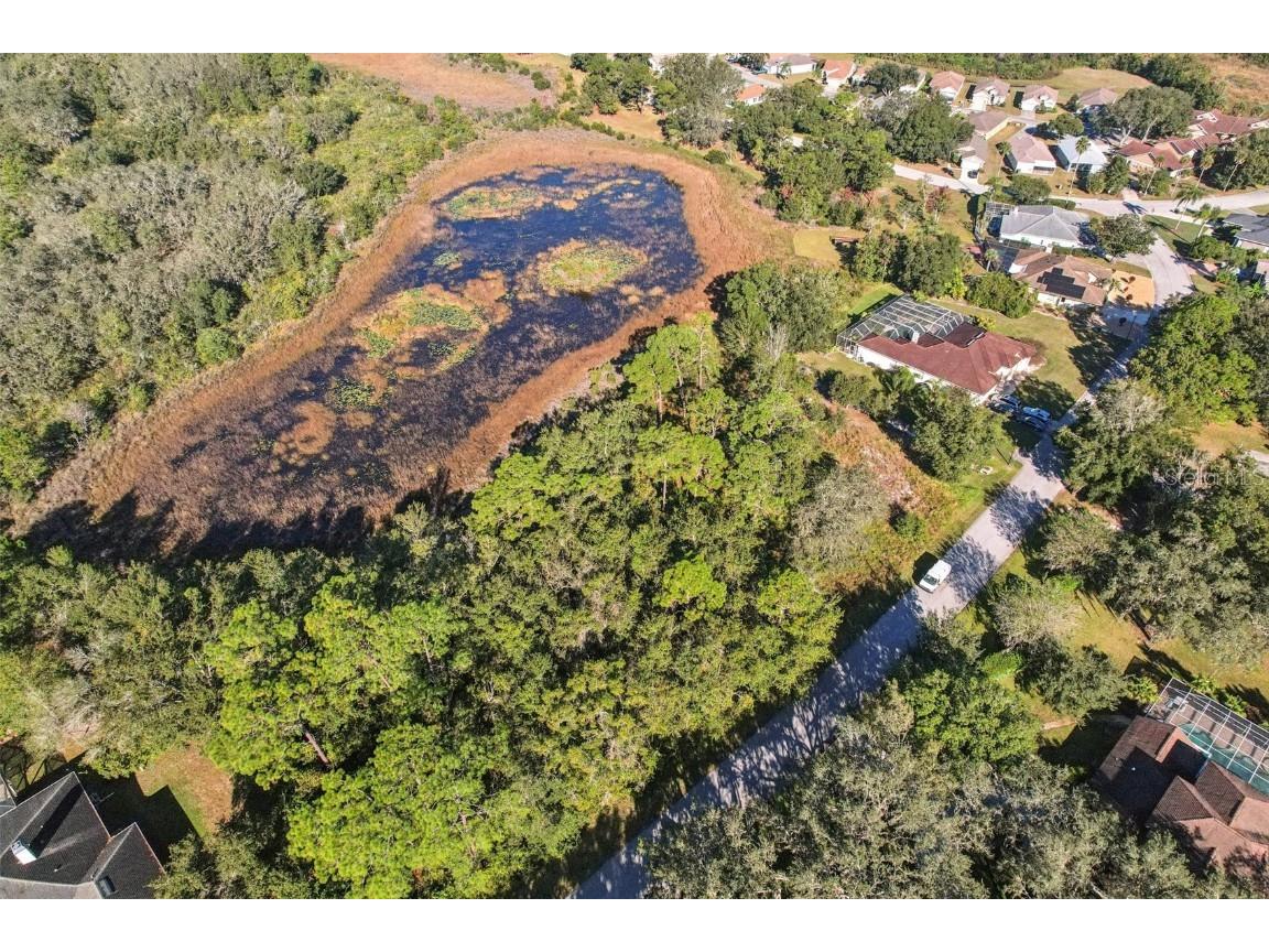 12347 Quail Ridge Drive Spring Hill FL 34610 TB8443605 image4