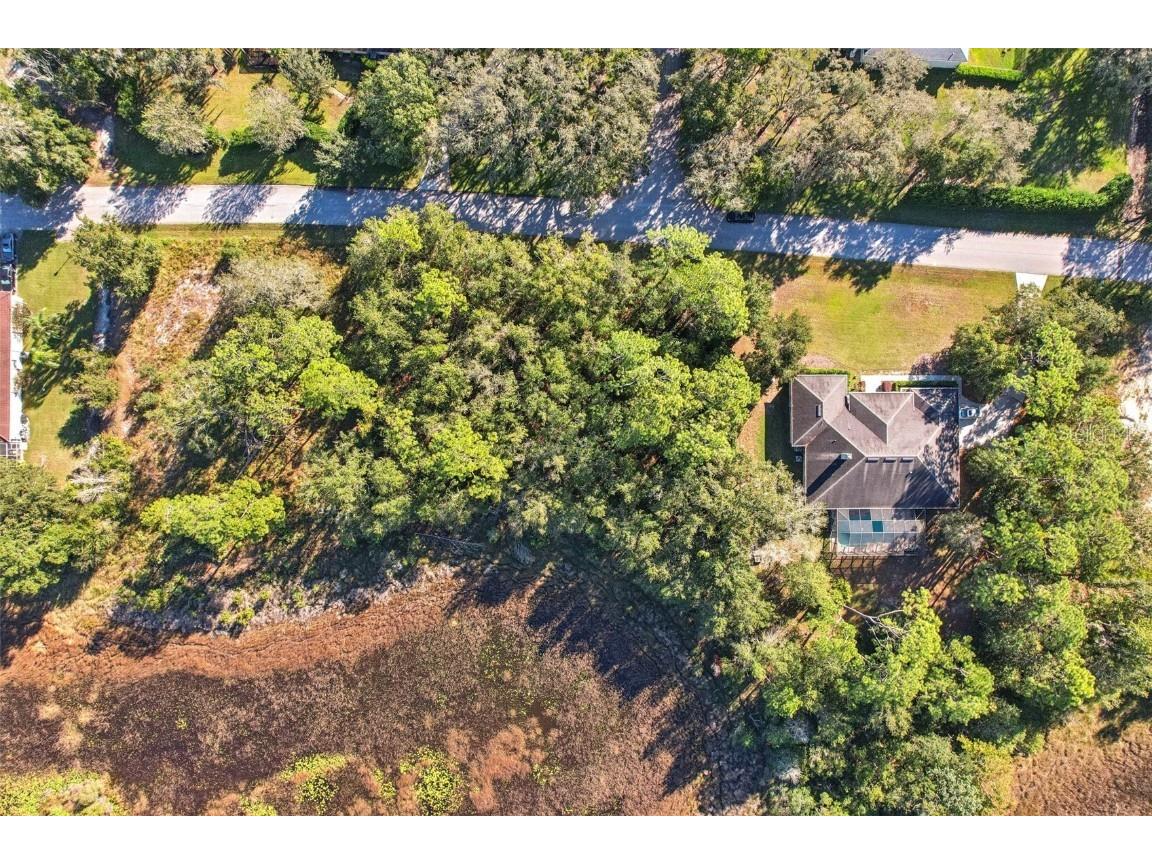 12347 Quail Ridge Drive Spring Hill FL 34610 TB8443605 image6