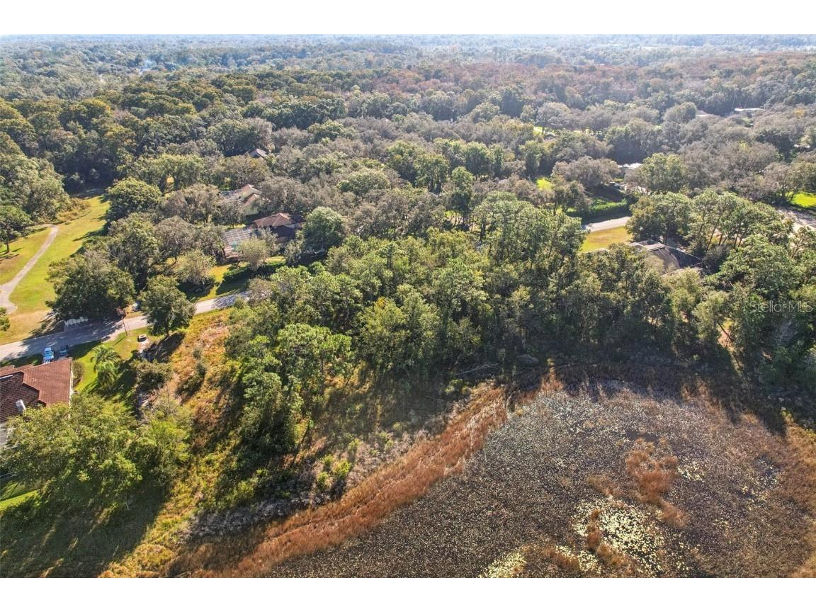 12347 Quail Ridge Drive Spring Hill FL 34610 TB8443605 image9