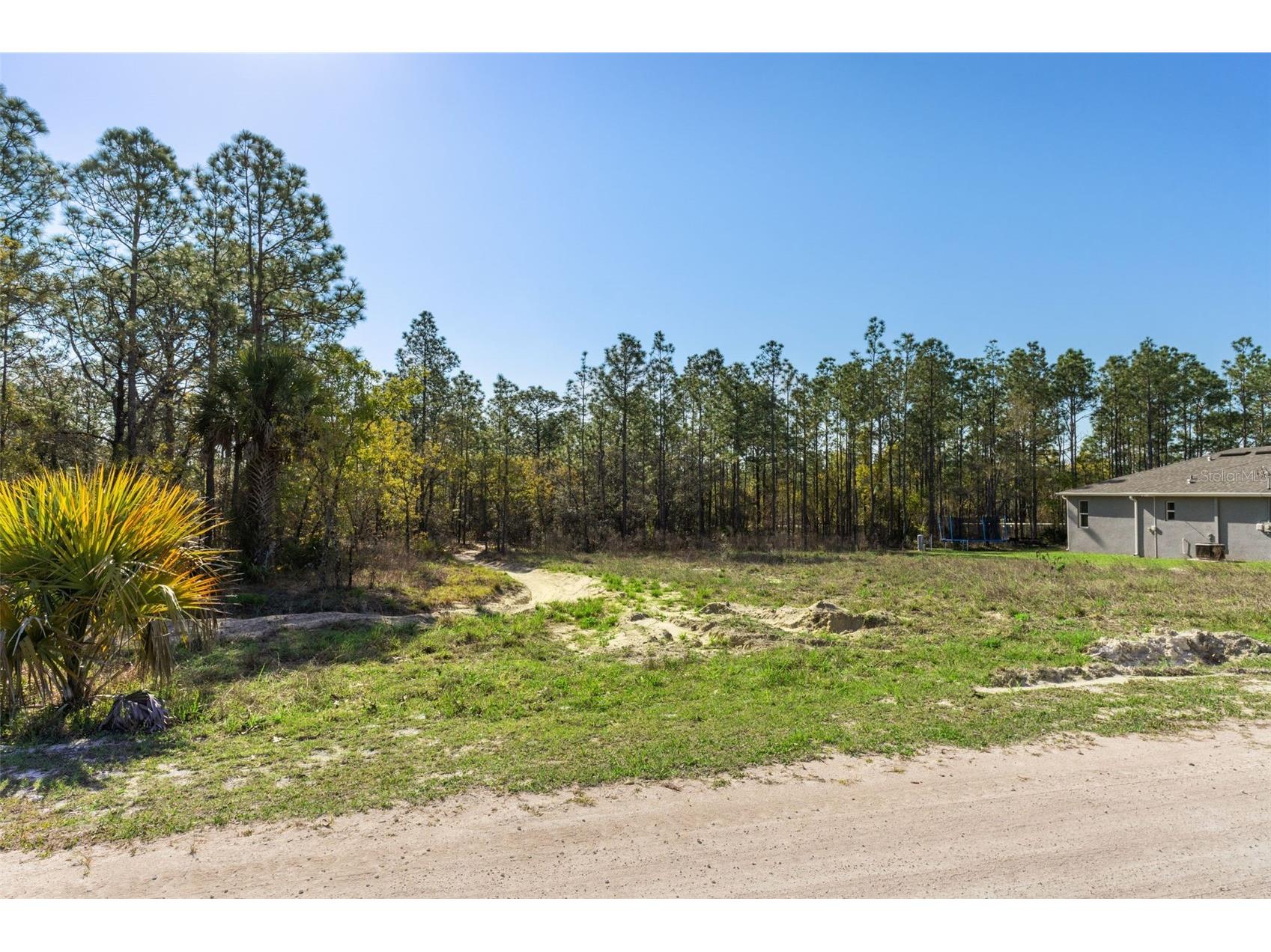 12348 Snowy Egret Avenue Weeki Wachee FL 34614 W7884281 image10