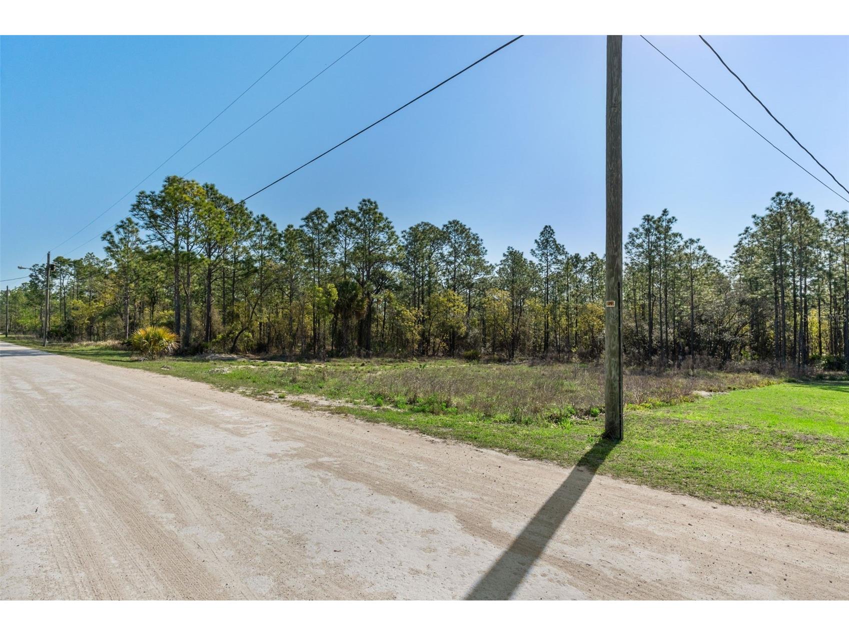 12348 Snowy Egret Avenue Weeki Wachee FL 34614 W7884281 image11