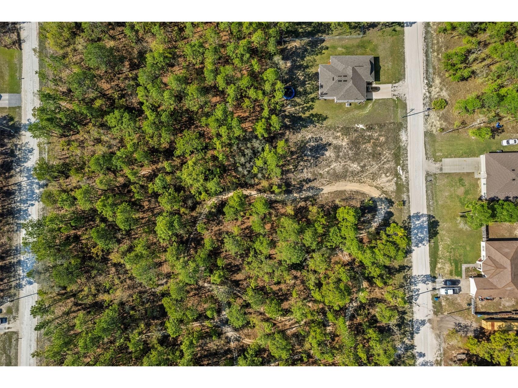 12348 Snowy Egret Avenue Weeki Wachee FL 34614 W7884281 image3