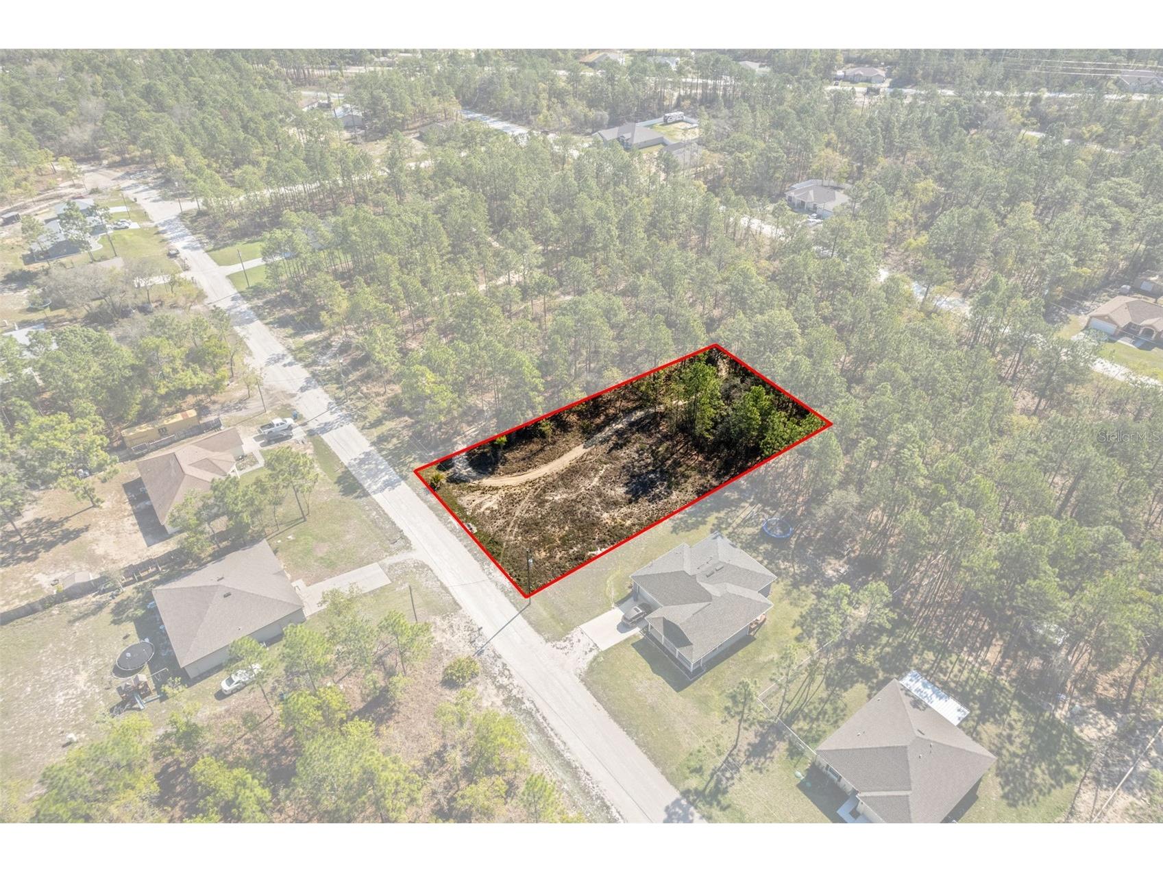12348 Snowy Egret Avenue Weeki Wachee FL 34614 W7884281 image4