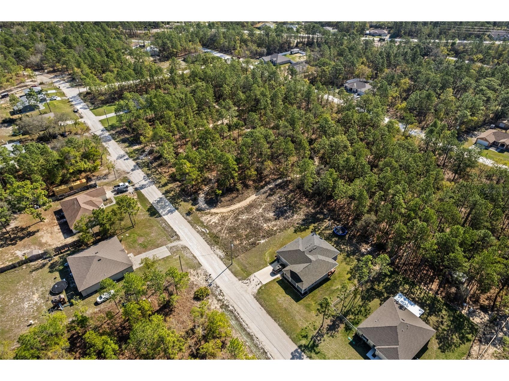 12348 Snowy Egret Avenue Weeki Wachee FL 34614 W7884281 image5