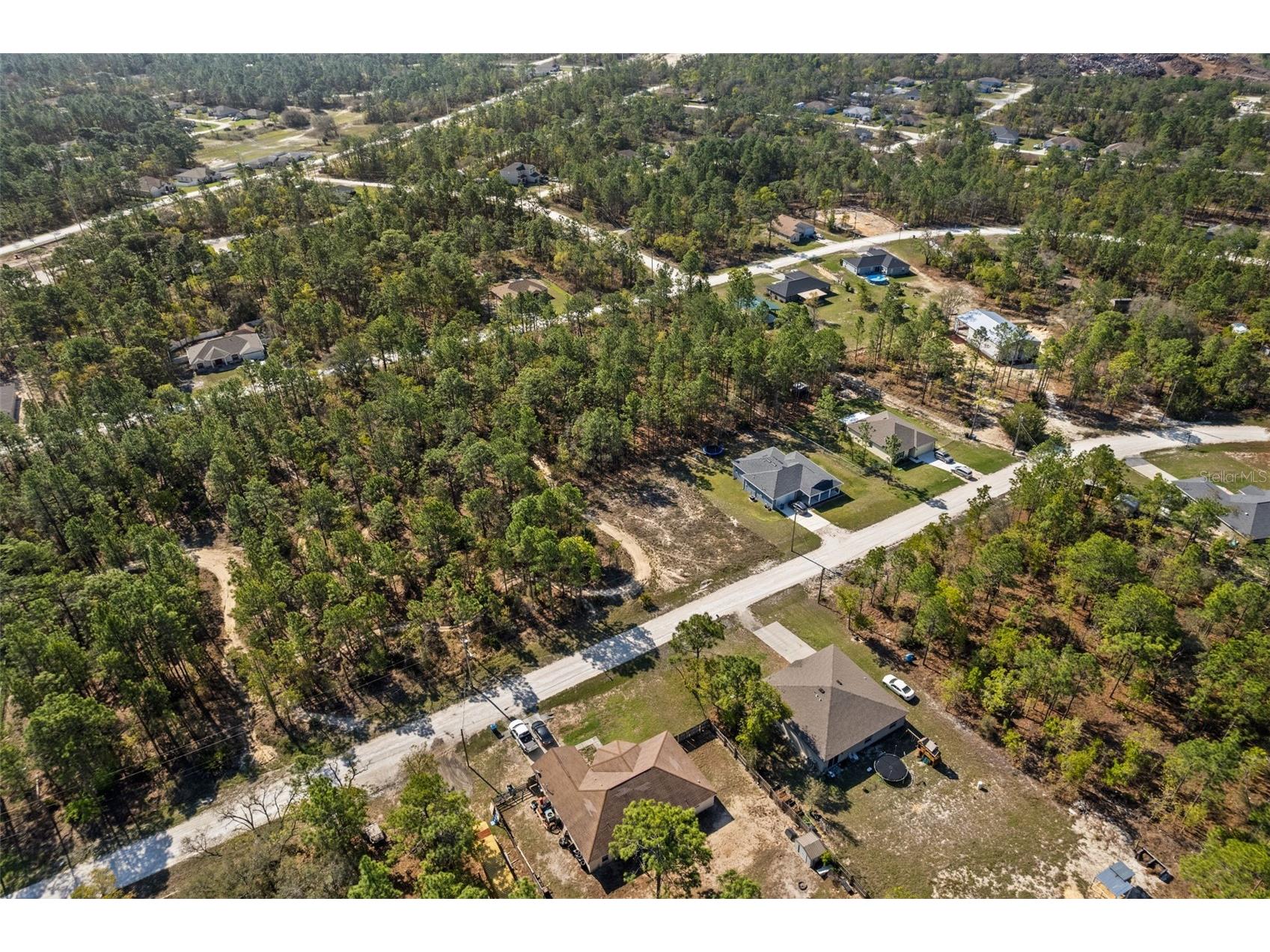 12348 Snowy Egret Avenue Weeki Wachee FL 34614 W7884281 image6
