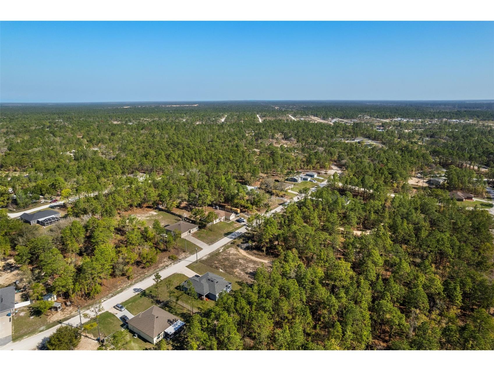 12348 Snowy Egret Avenue Weeki Wachee FL 34614 W7884281 image7