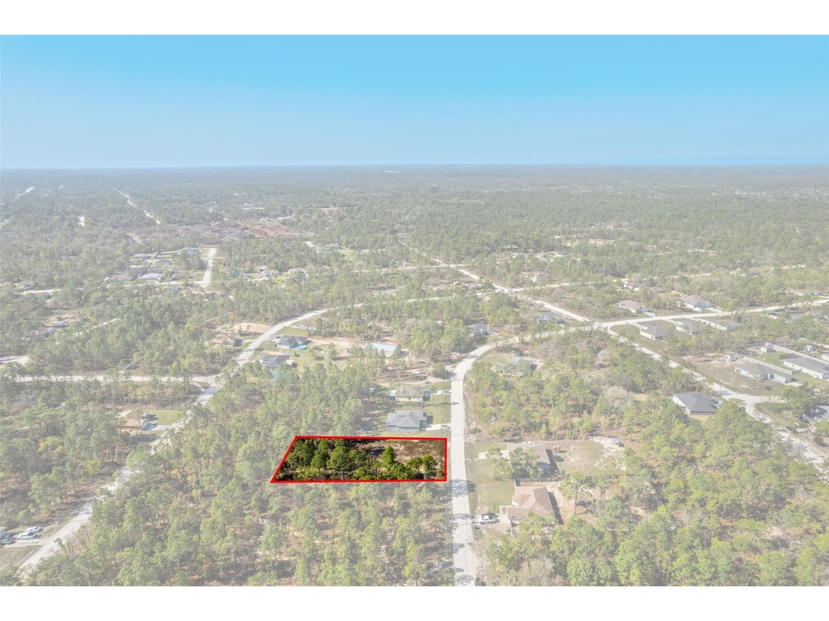 12348 Snowy Egret Avenue Weeki Wachee FL 34614 W7884281 image8