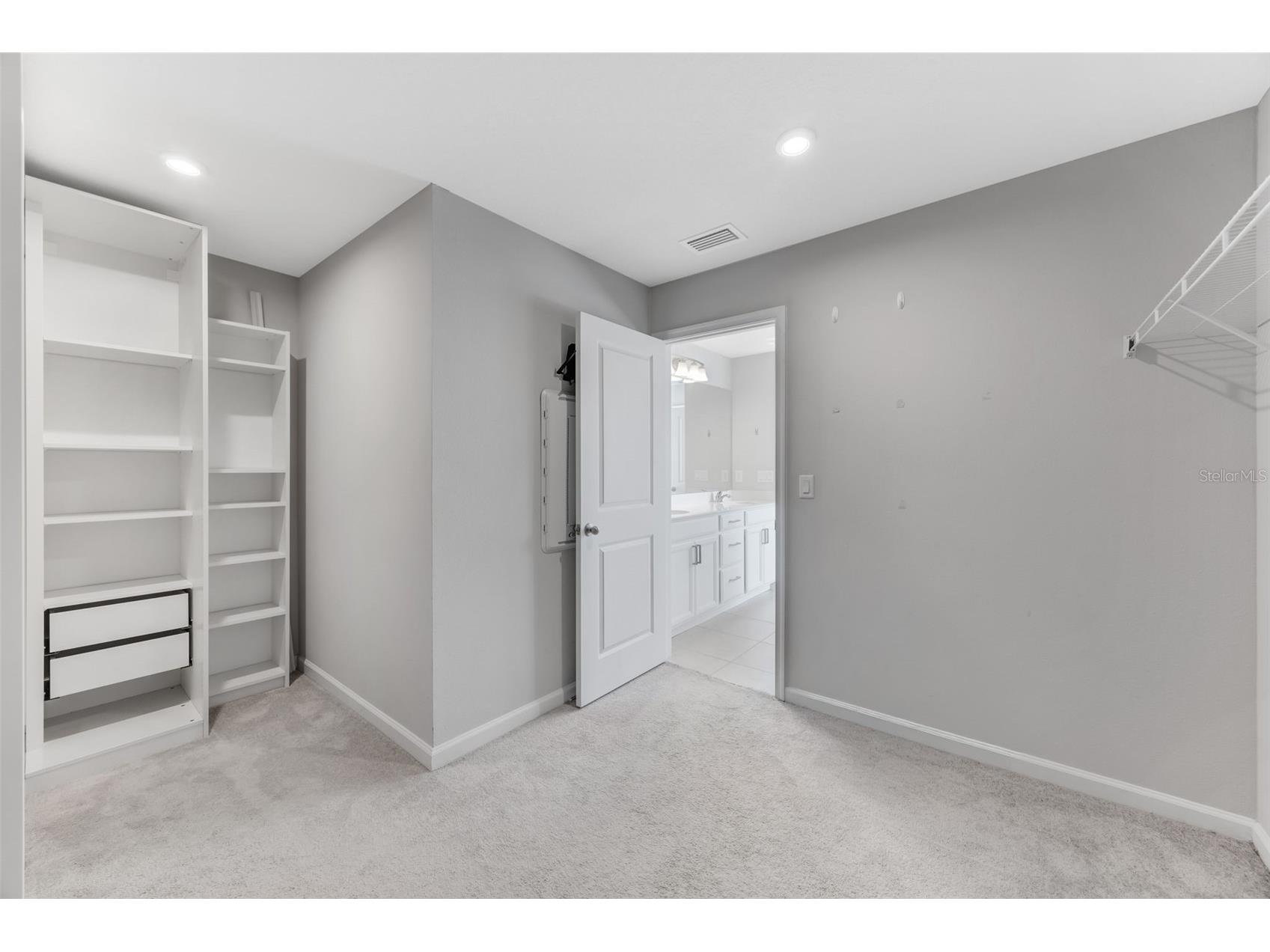 12349 Blue Pacific Drive Riverview FL 33579 TB8503019 image35