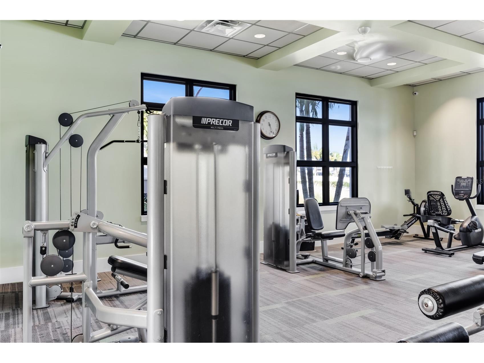 12349 Blue Pacific Drive Riverview FL 33579 TB8503019 image46