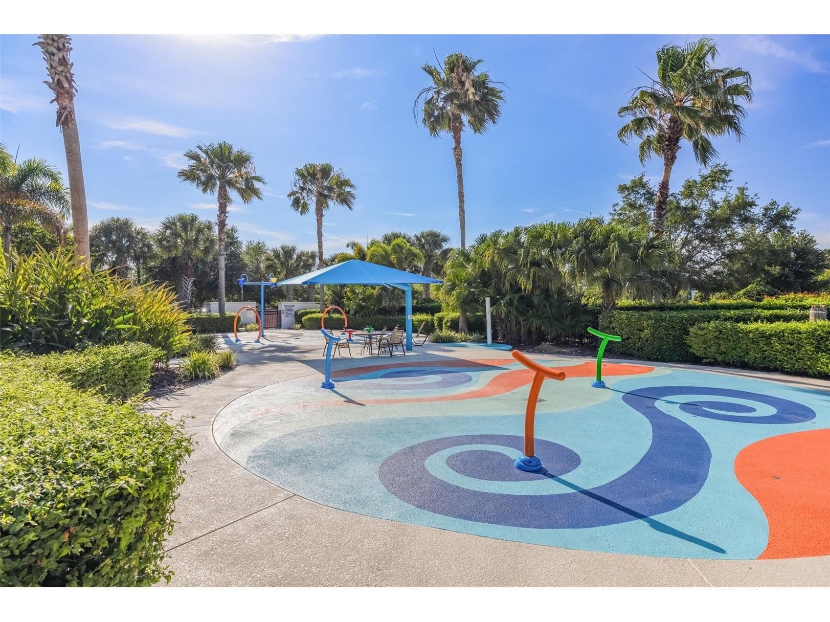 12349 Blue Pacific Drive Riverview FL 33579 TB8503019 image48