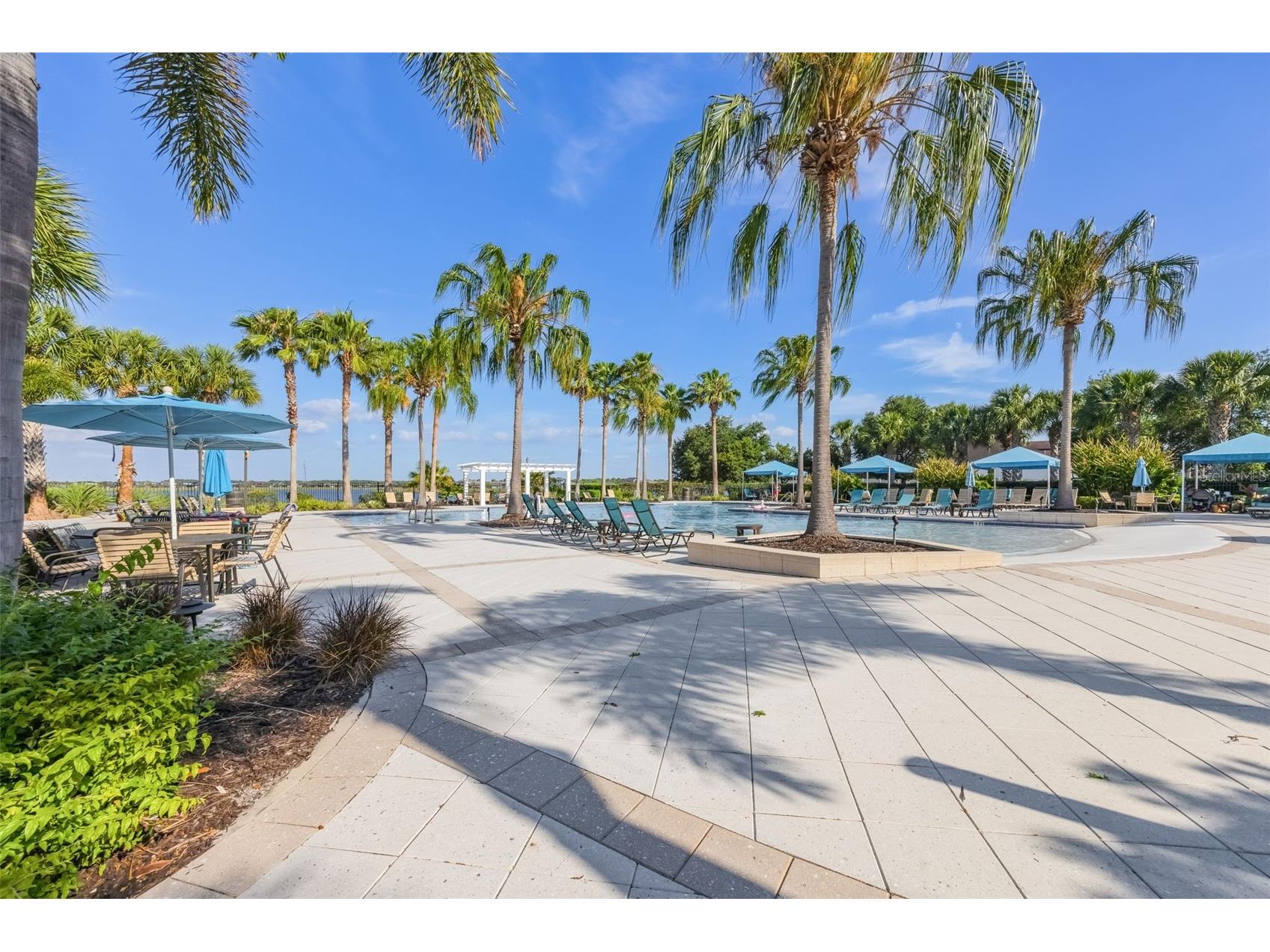 12349 Blue Pacific Drive Riverview FL 33579 TB8503019 image50