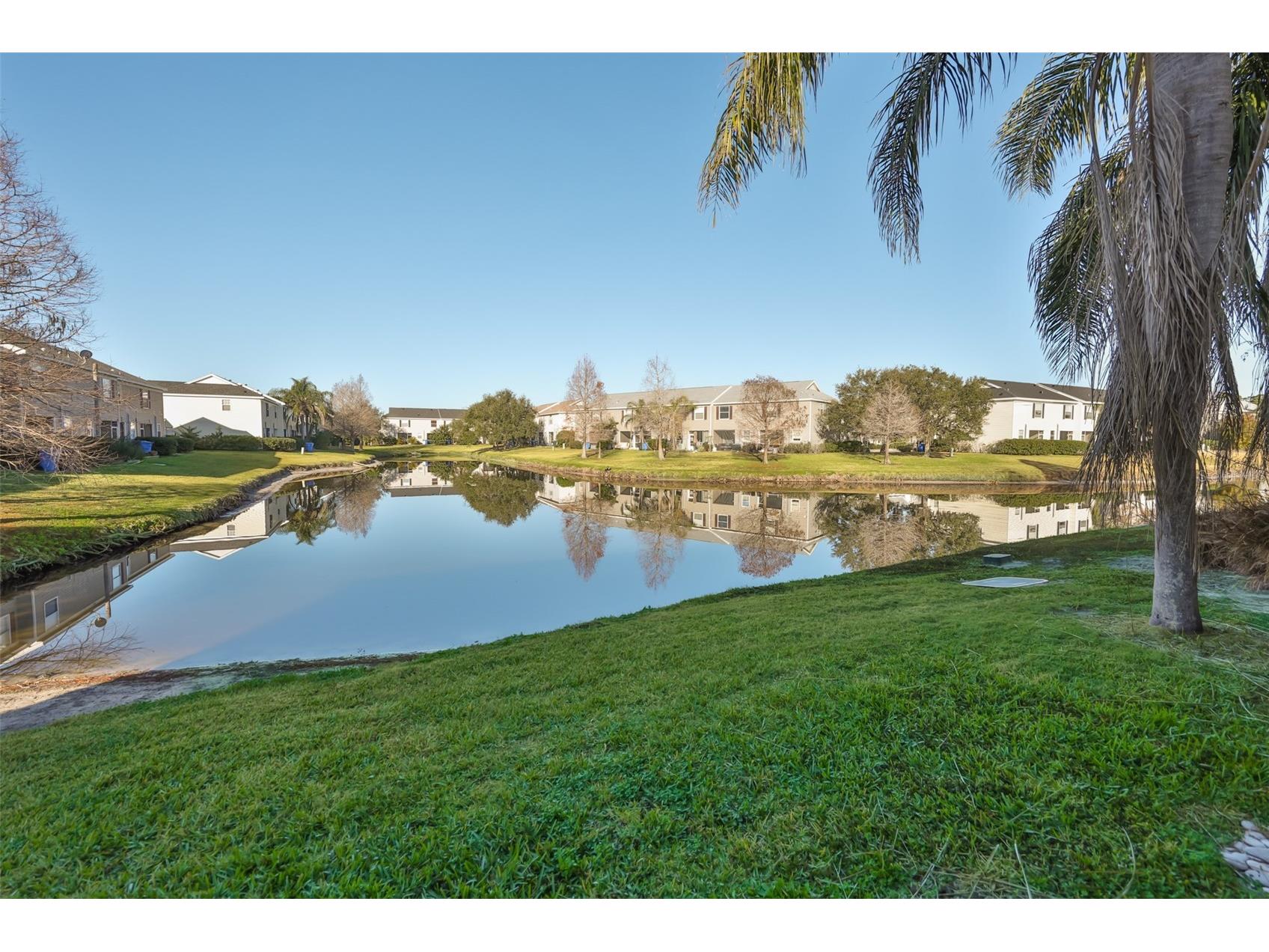 12349 Country White Circle Tampa FL 33635 TB8476360 image19