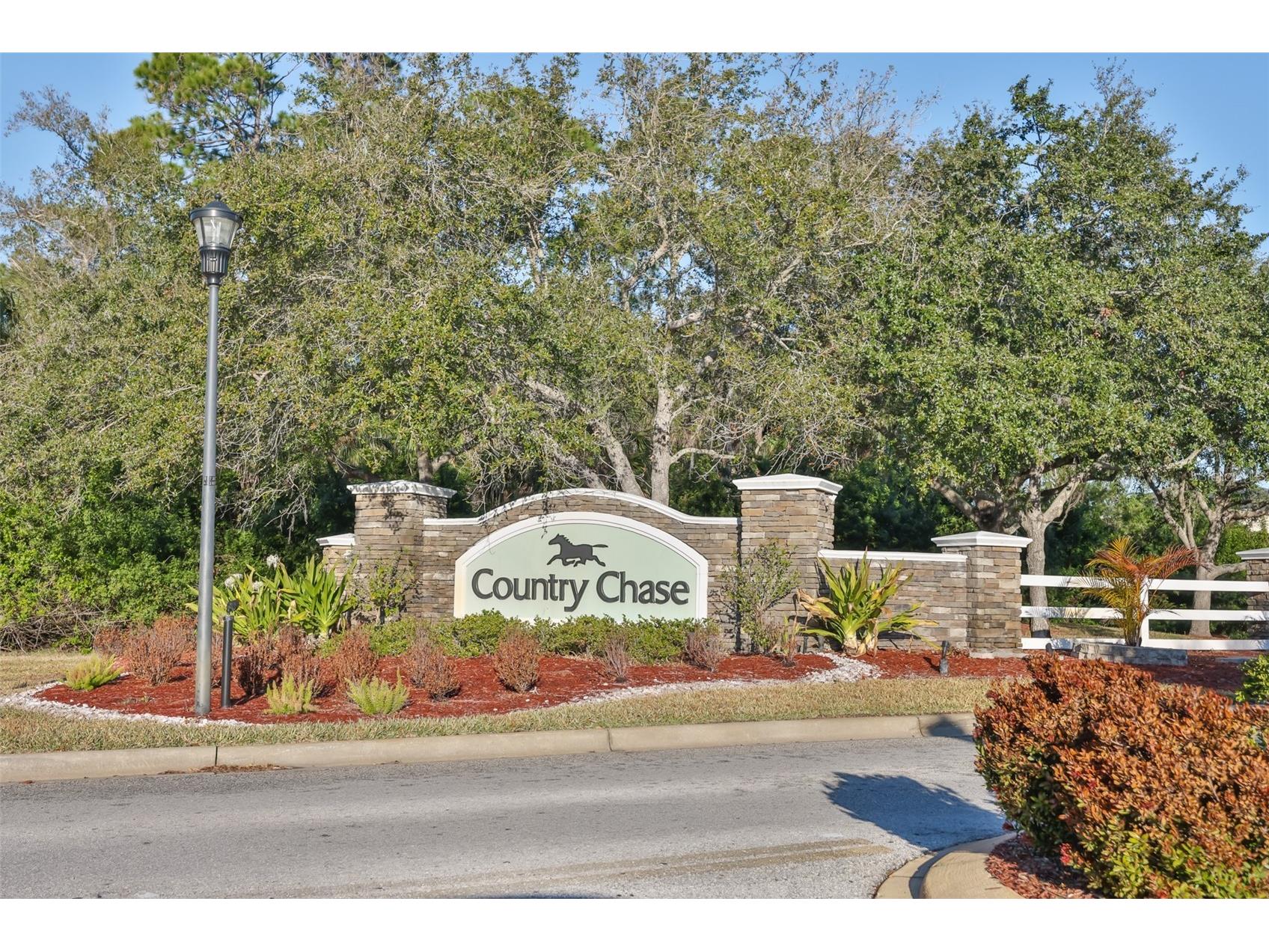 12349 Country White Circle Tampa FL 33635 TB8476360 image23