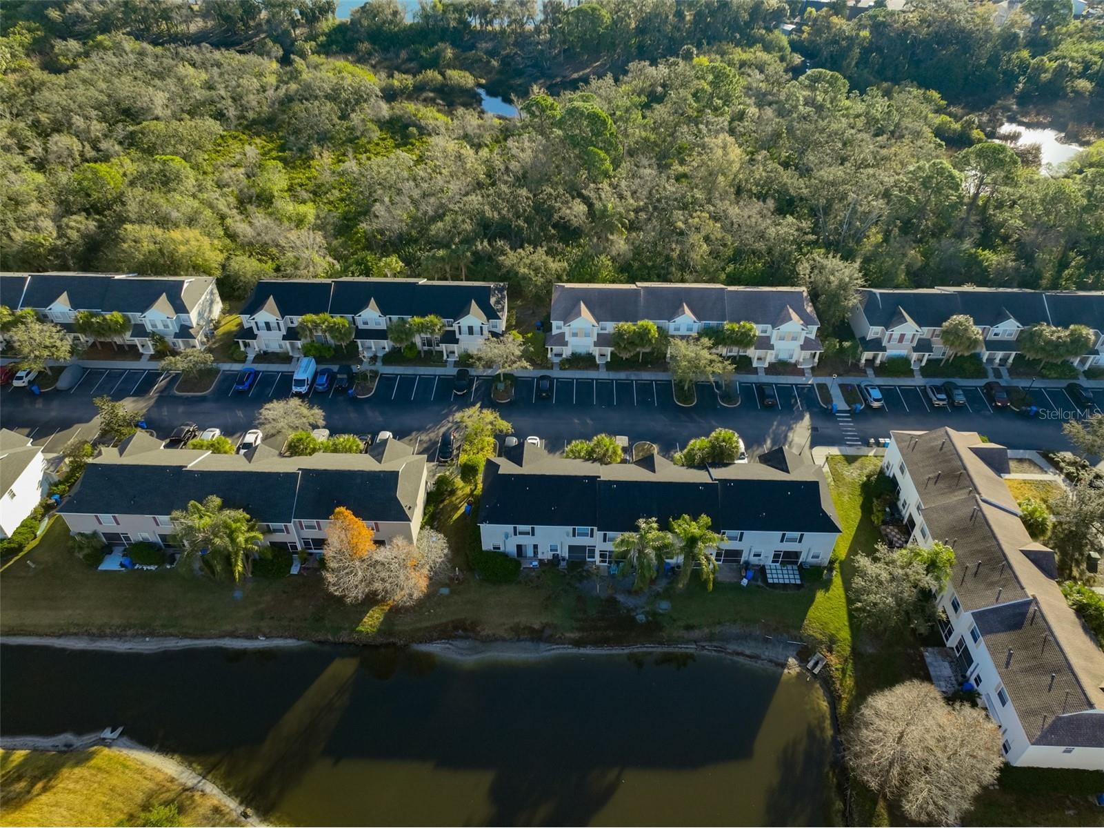 12349 Country White Circle Tampa FL 33635 TB8476360 image28