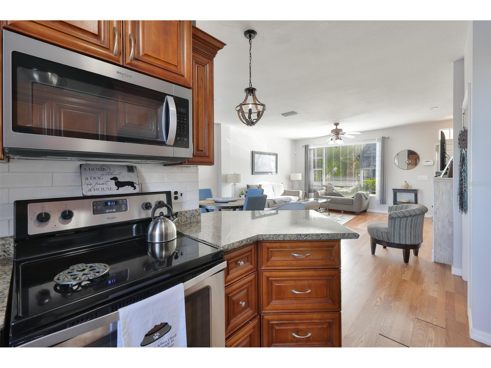 12349 Country White Circle Tampa FL 33635 TB8476360 image9