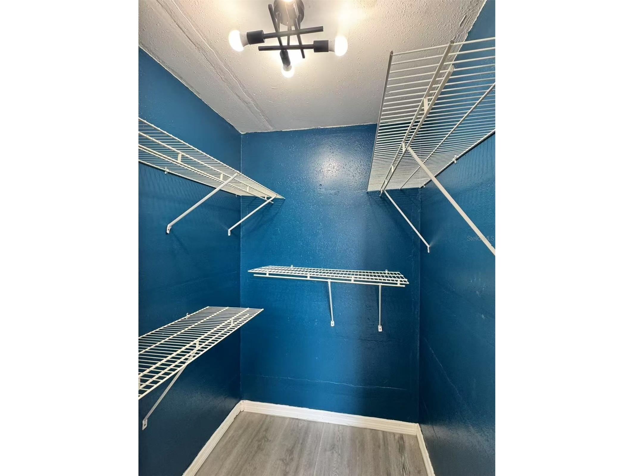 12349 Wasatch Court New Port Richey FL 34654 TB8479656 image22