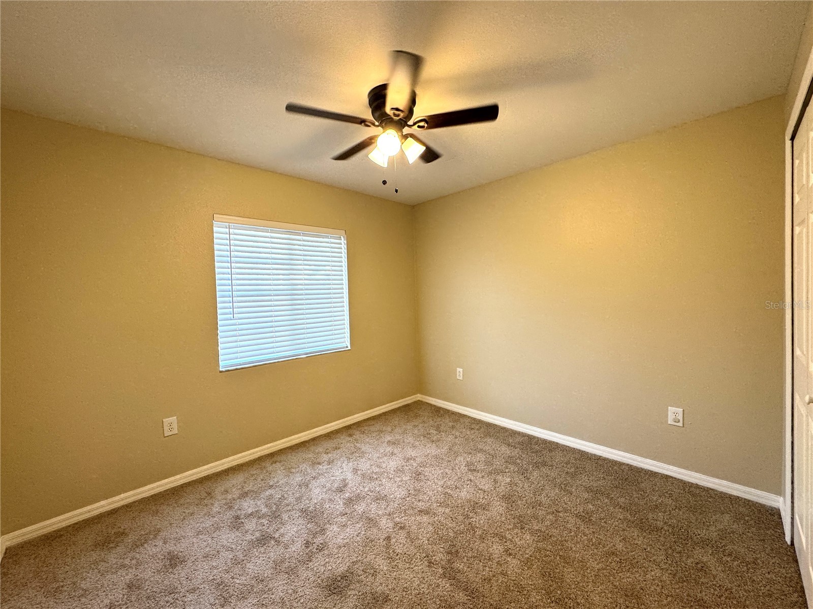 1235 Alpine Lake Drive Brandon FL 33511 TB8406736 image10