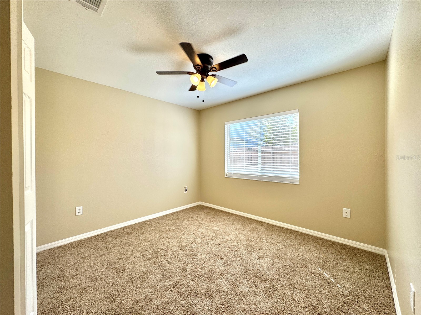 1235 Alpine Lake Drive Brandon FL 33511 TB8406736 image12