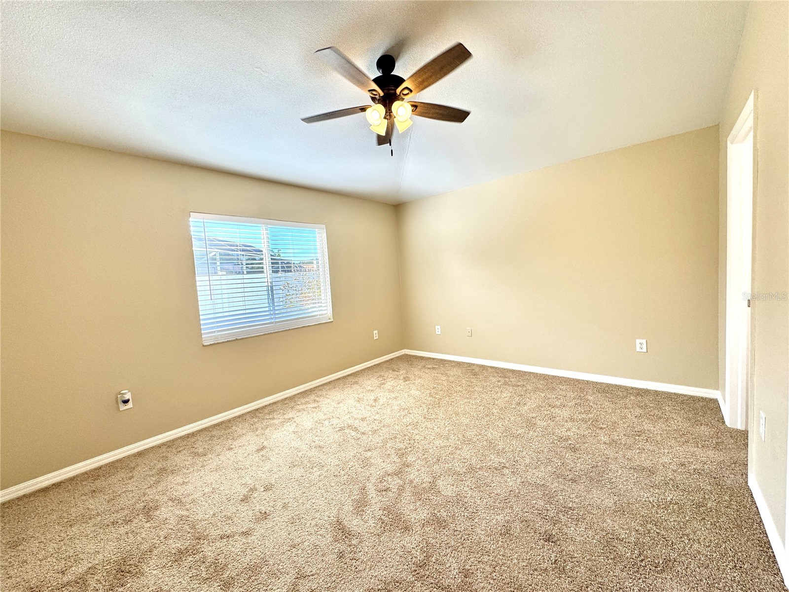 1235 Alpine Lake Drive Brandon FL 33511 TB8406736 image14