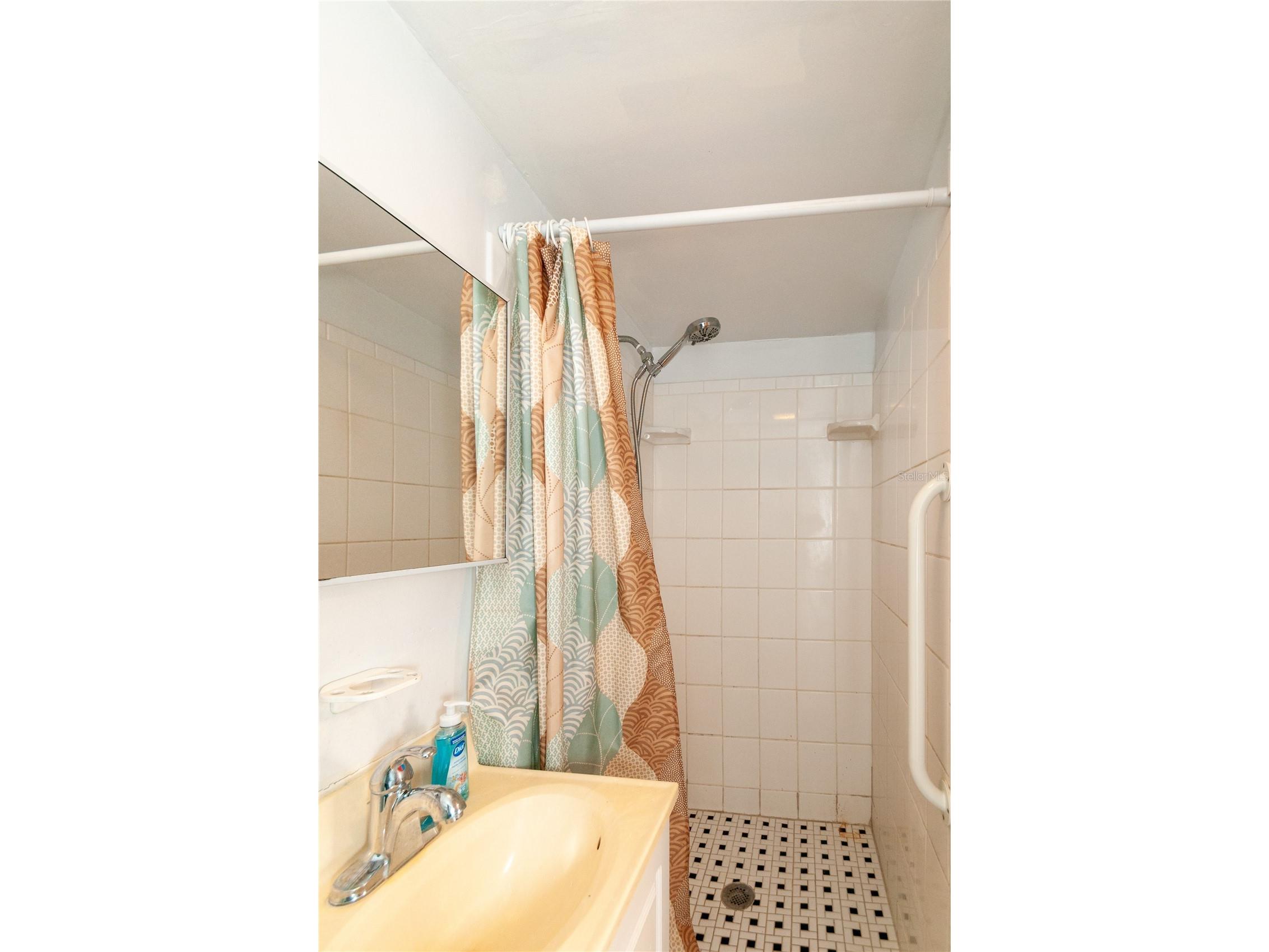 1235 Bass Boulevard Dunedin FL 34698 TB8523604 image9