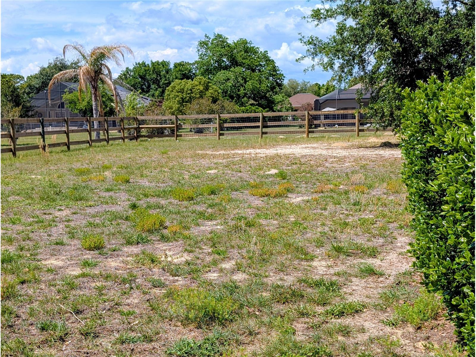 1235 E Hartford Street Hernando FL 34442 OM723610 image48