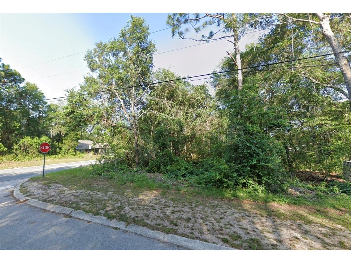 1235 Fordham Terrace Inverness FL 34452 TB8352721 image1