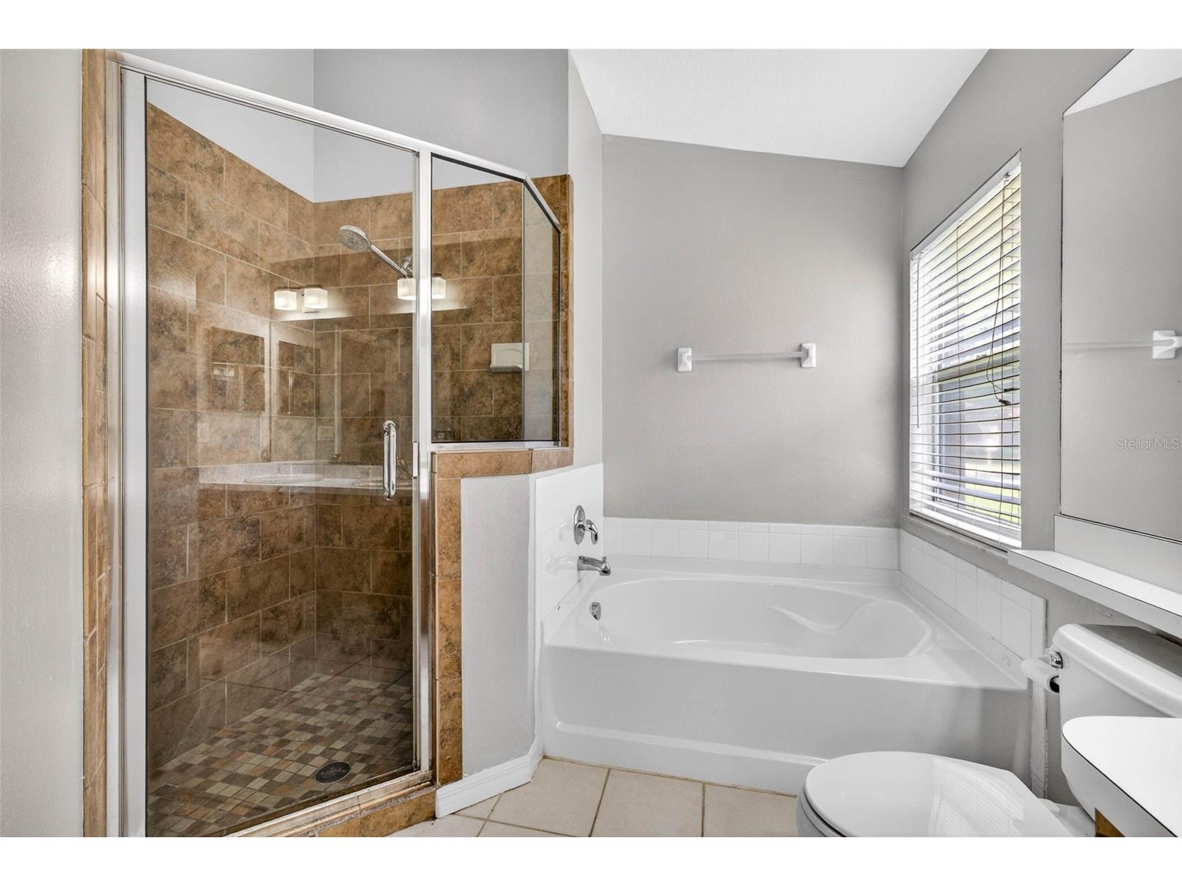 1235 Katahdin Court Wesley Chapel FL 33543 TB8512165 image32