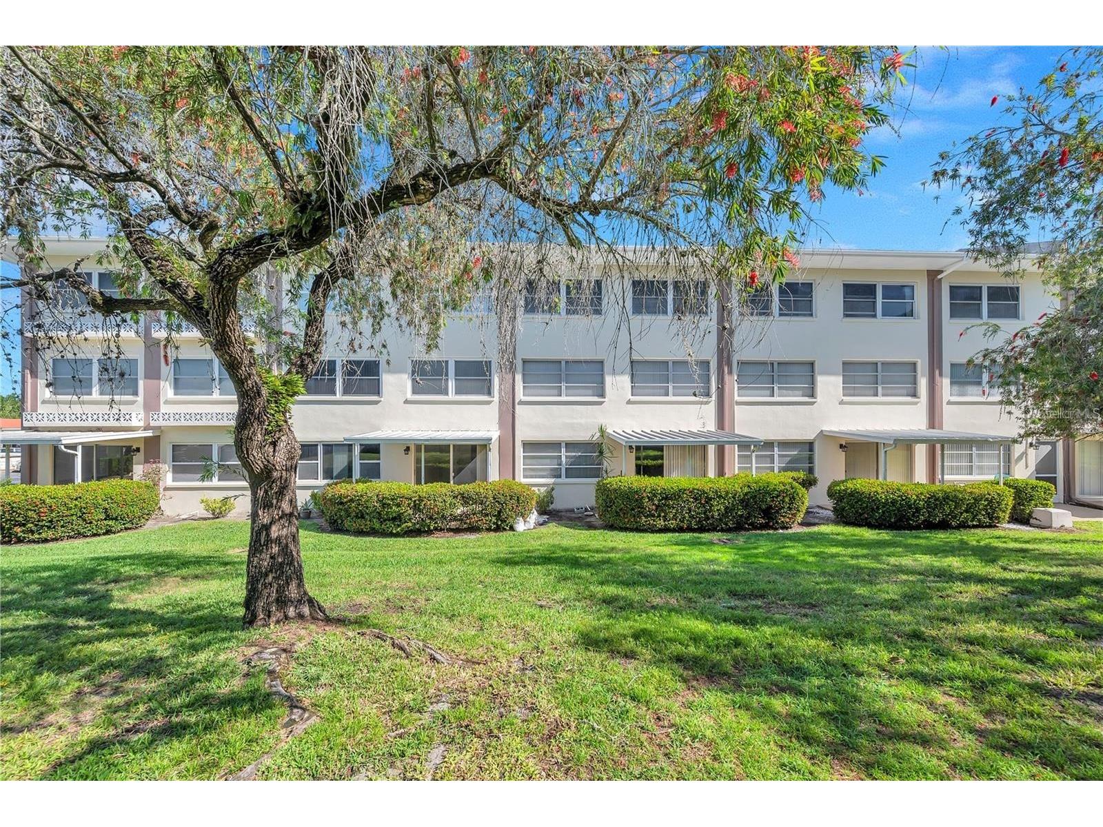1235 S Highland Avenue #1-102 Clearwater FL 33756 TB8481760 image20