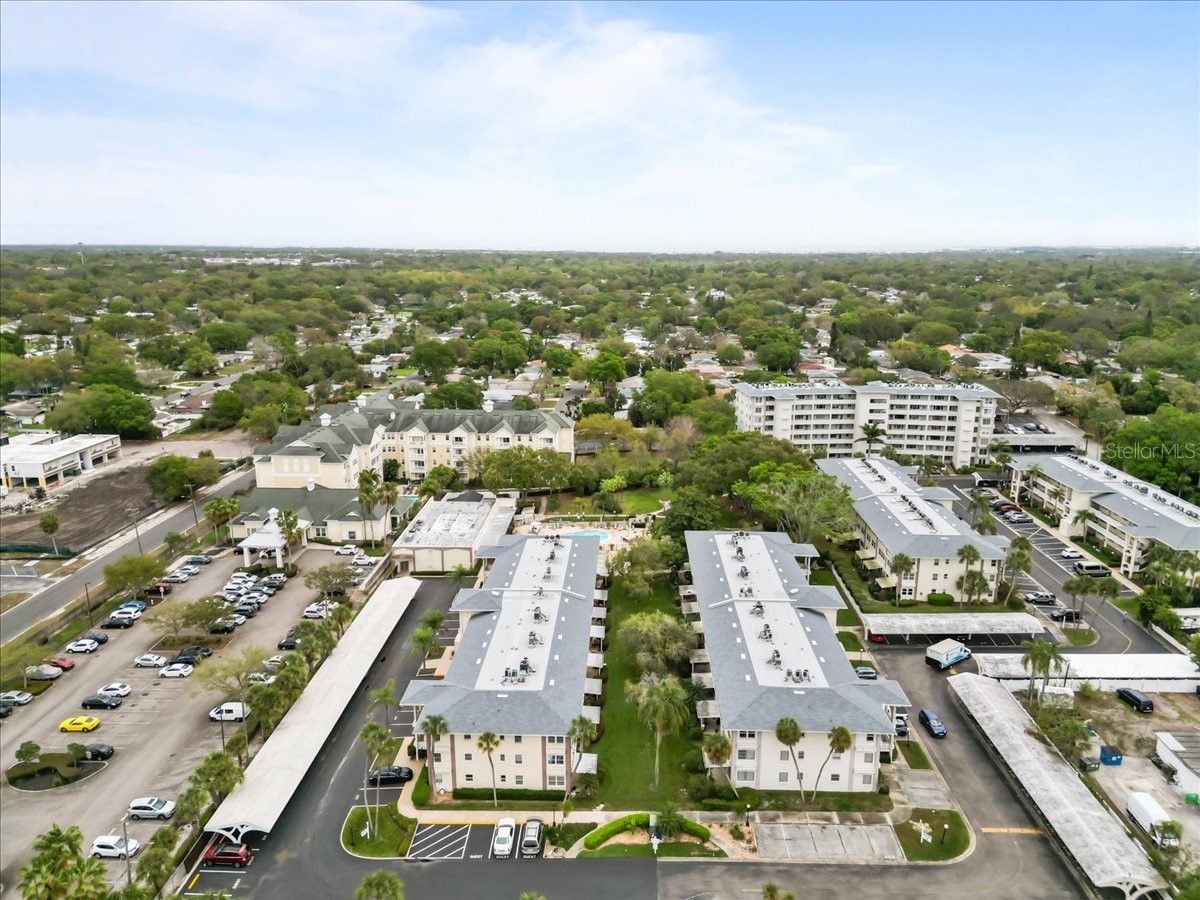 1235 S Highland Avenue #1-102 Clearwater FL 33756 TB8481760 image37
