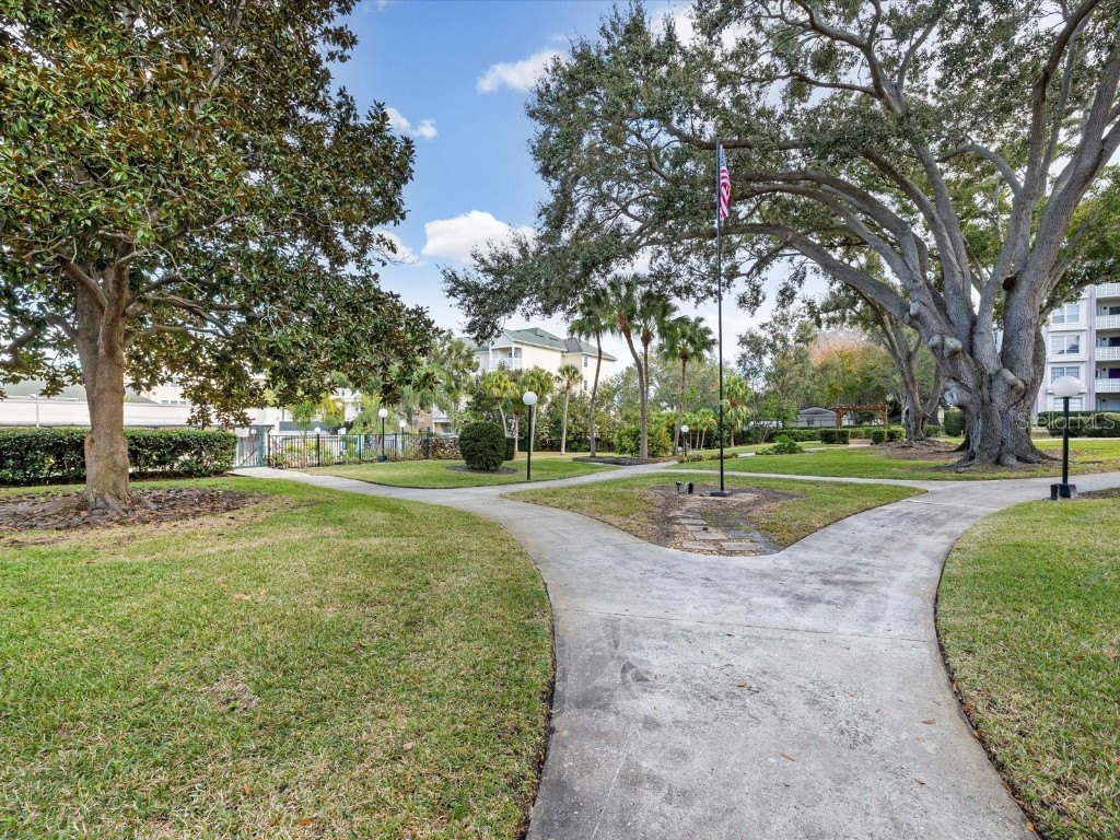 1235 S Highland Avenue #2-207 Clearwater FL 33756 TB8461427 image40