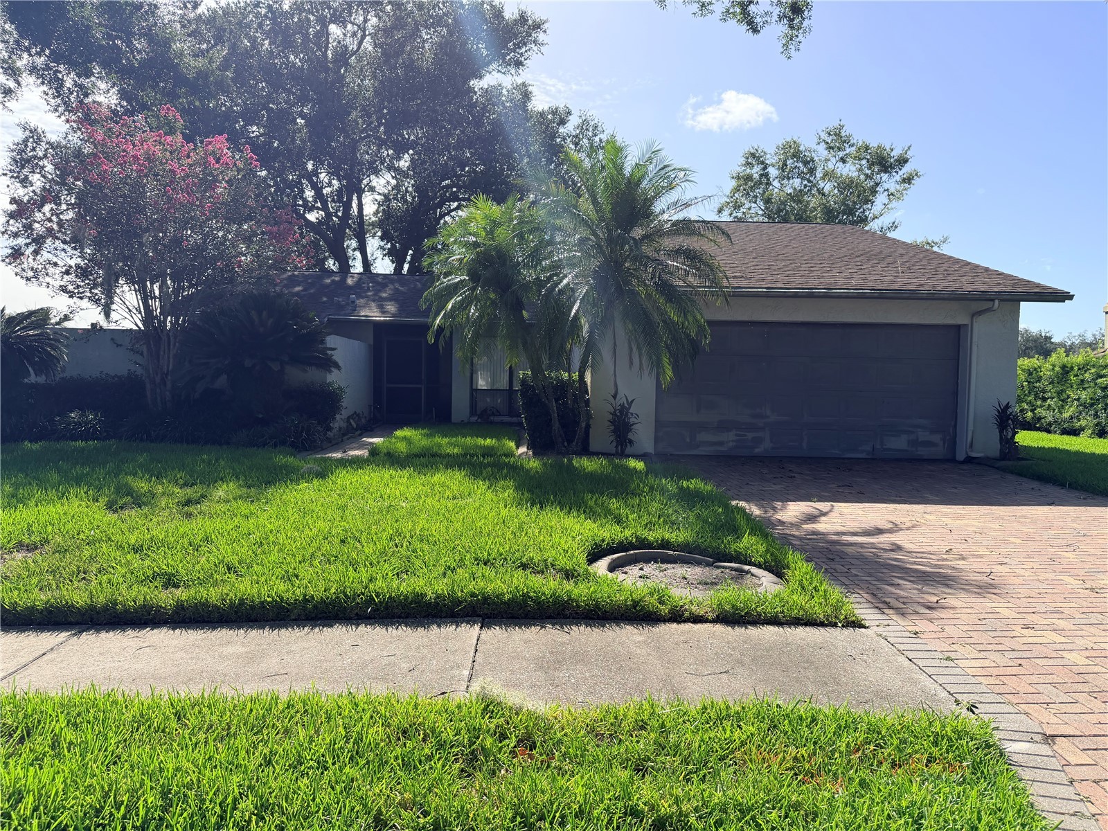 1235 Waterbury Loop Lutz FL 33559 TB8520346 image1