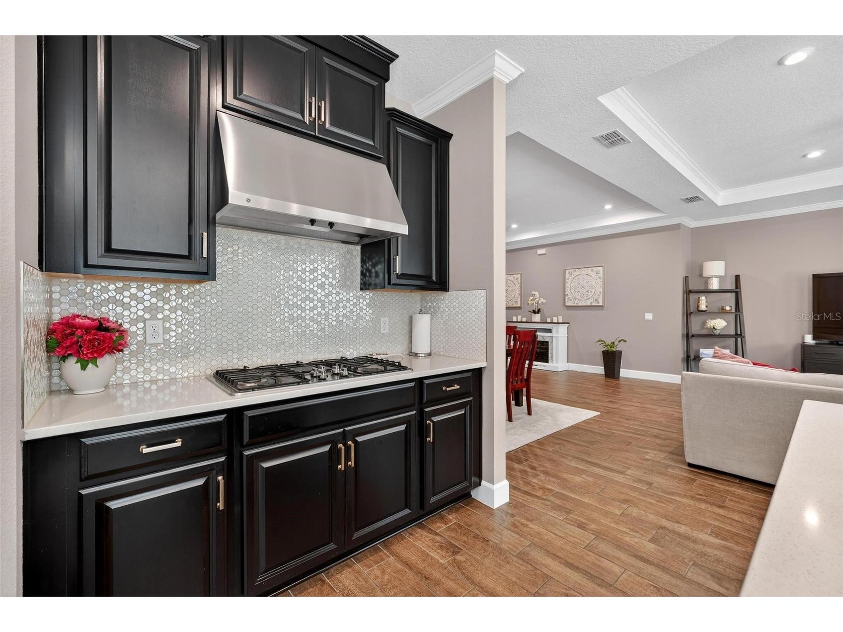 1235 Waterview Ridge Circle Apopka FL 32703 O6389411 image24