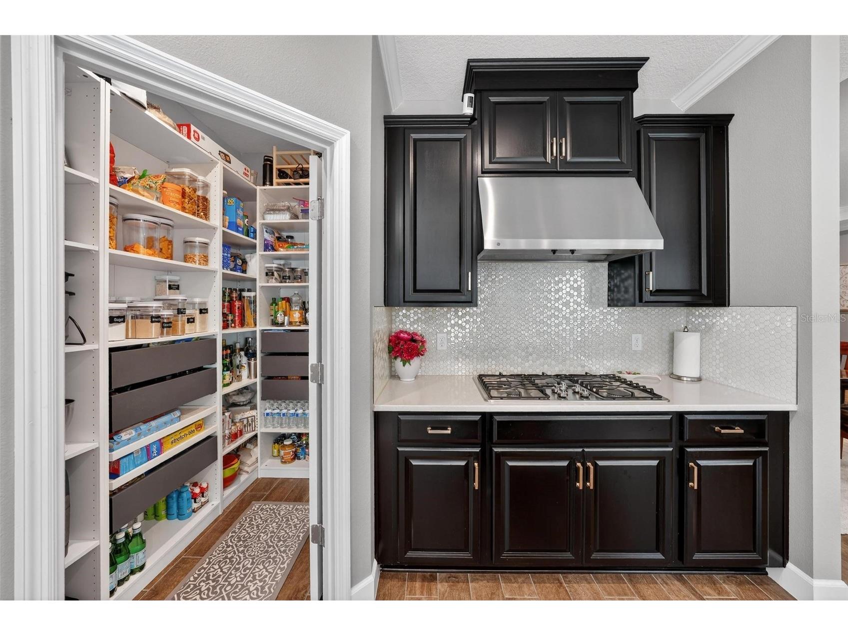 1235 Waterview Ridge Circle Apopka FL 32703 O6389411 image27