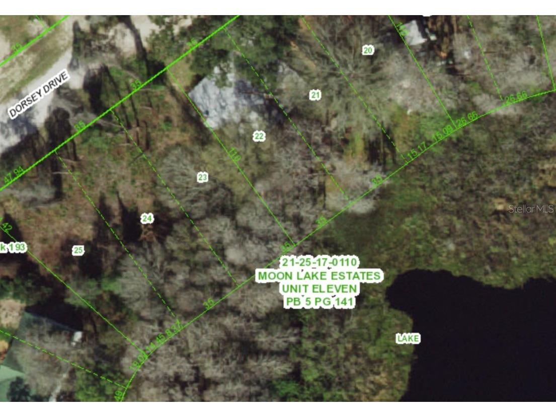 12350 Dorsey Drive New Port Richey FL 34654 W7869417 image1