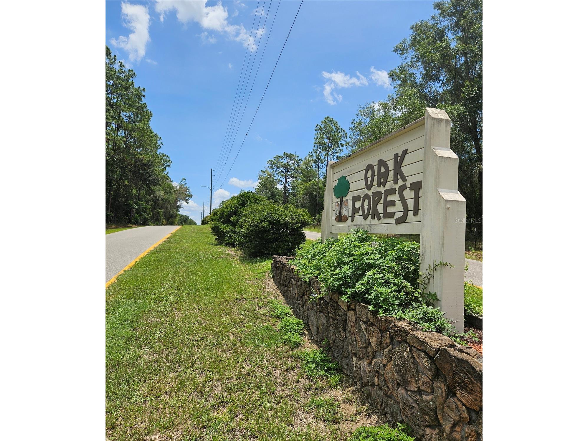 12350 S Elm Point Floral City FL 34436 TB8521582 image1