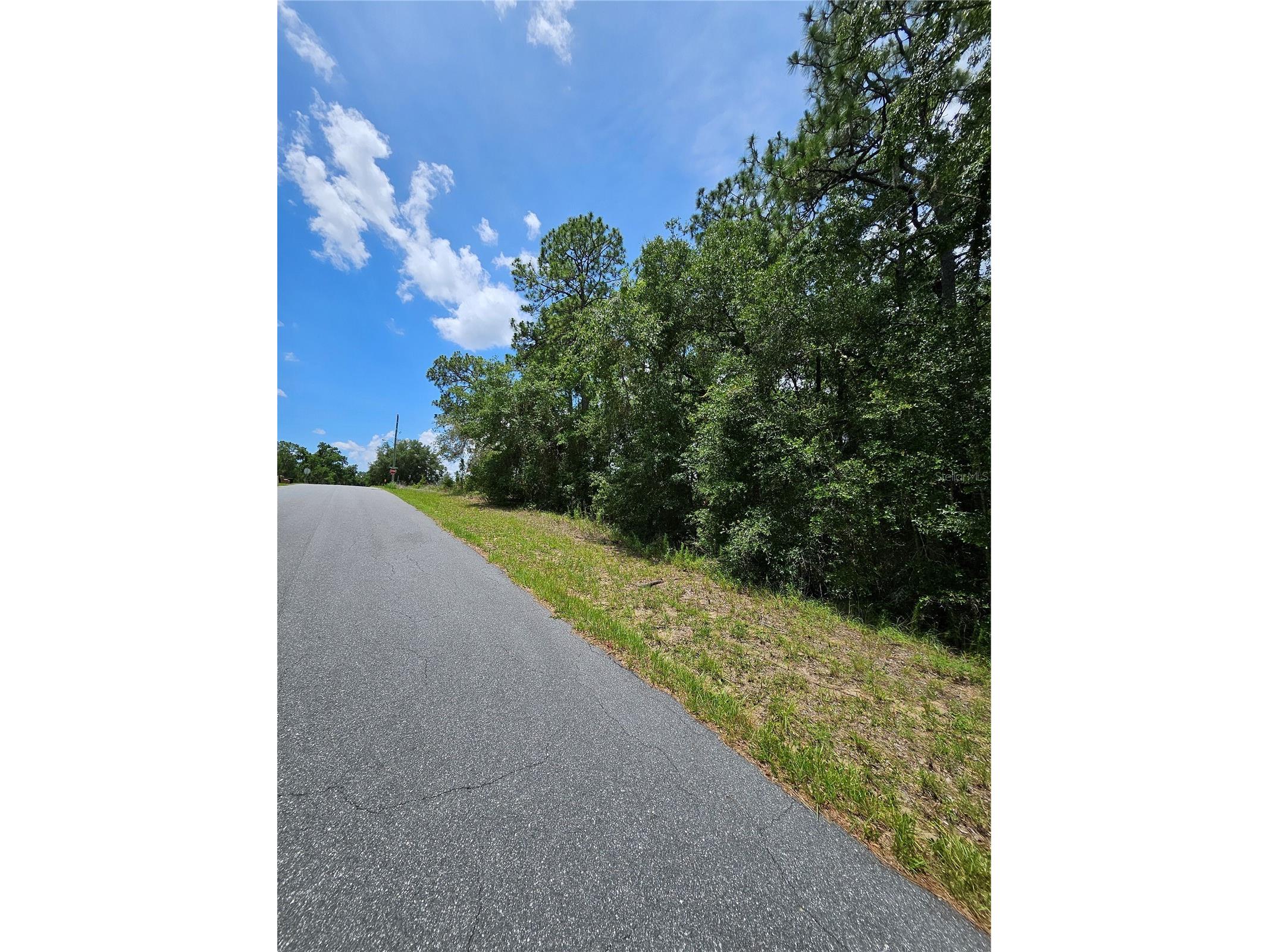 12350 S Elm Point Floral City FL 34436 TB8521582 image3