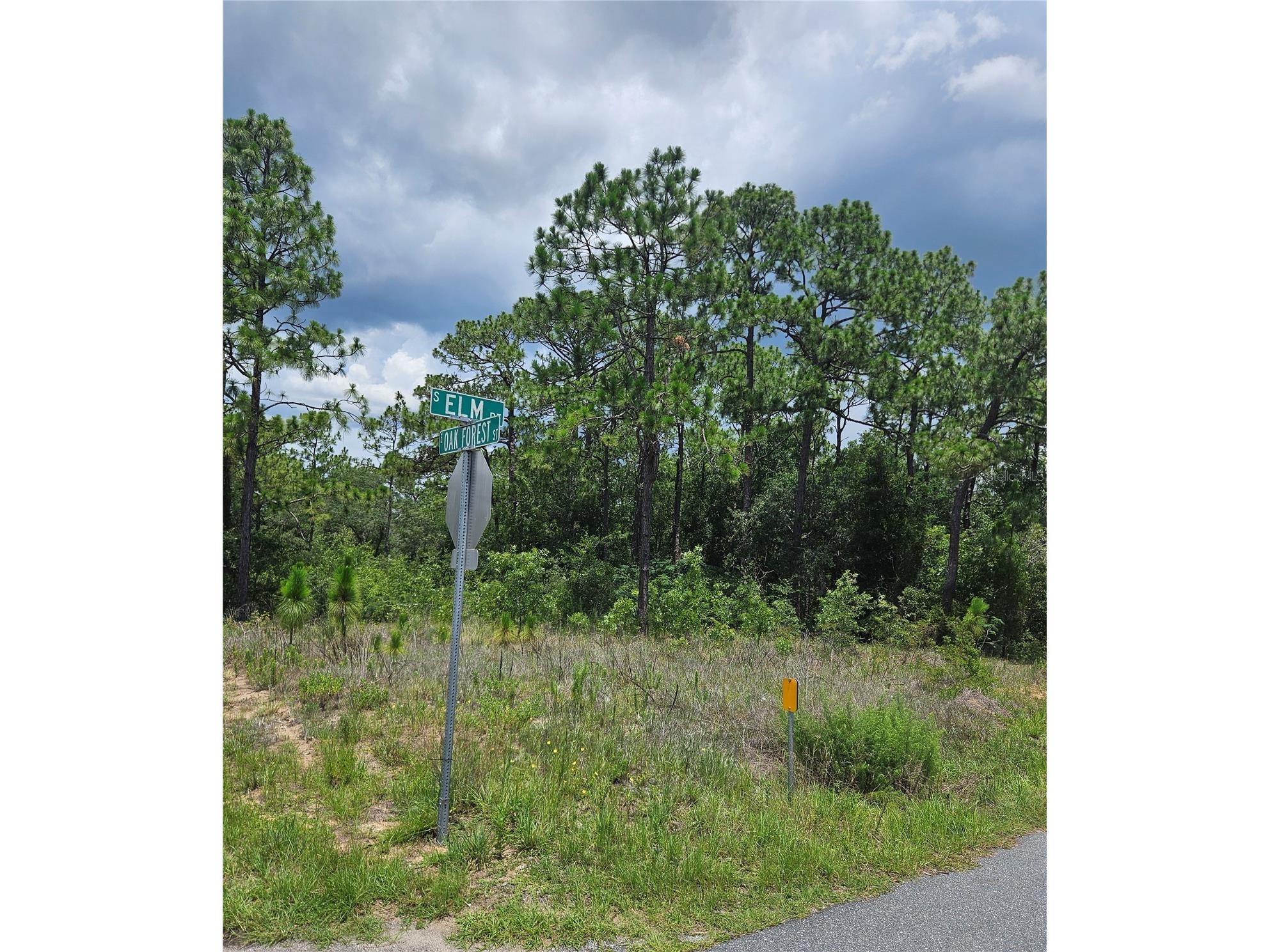 12350 S Elm Point Floral City FL 34436 TB8521582 image4