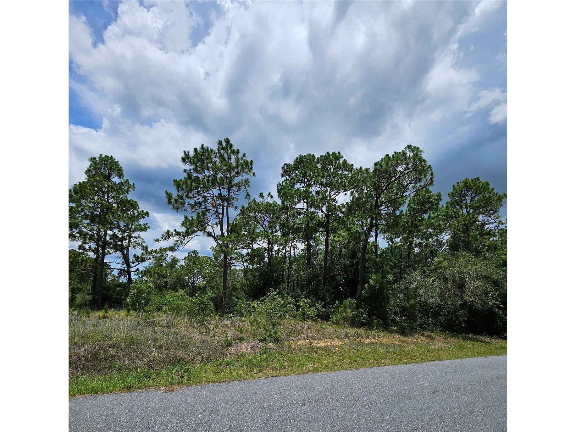 12350 S Elm Point Floral City FL 34436 TB8521582 image5