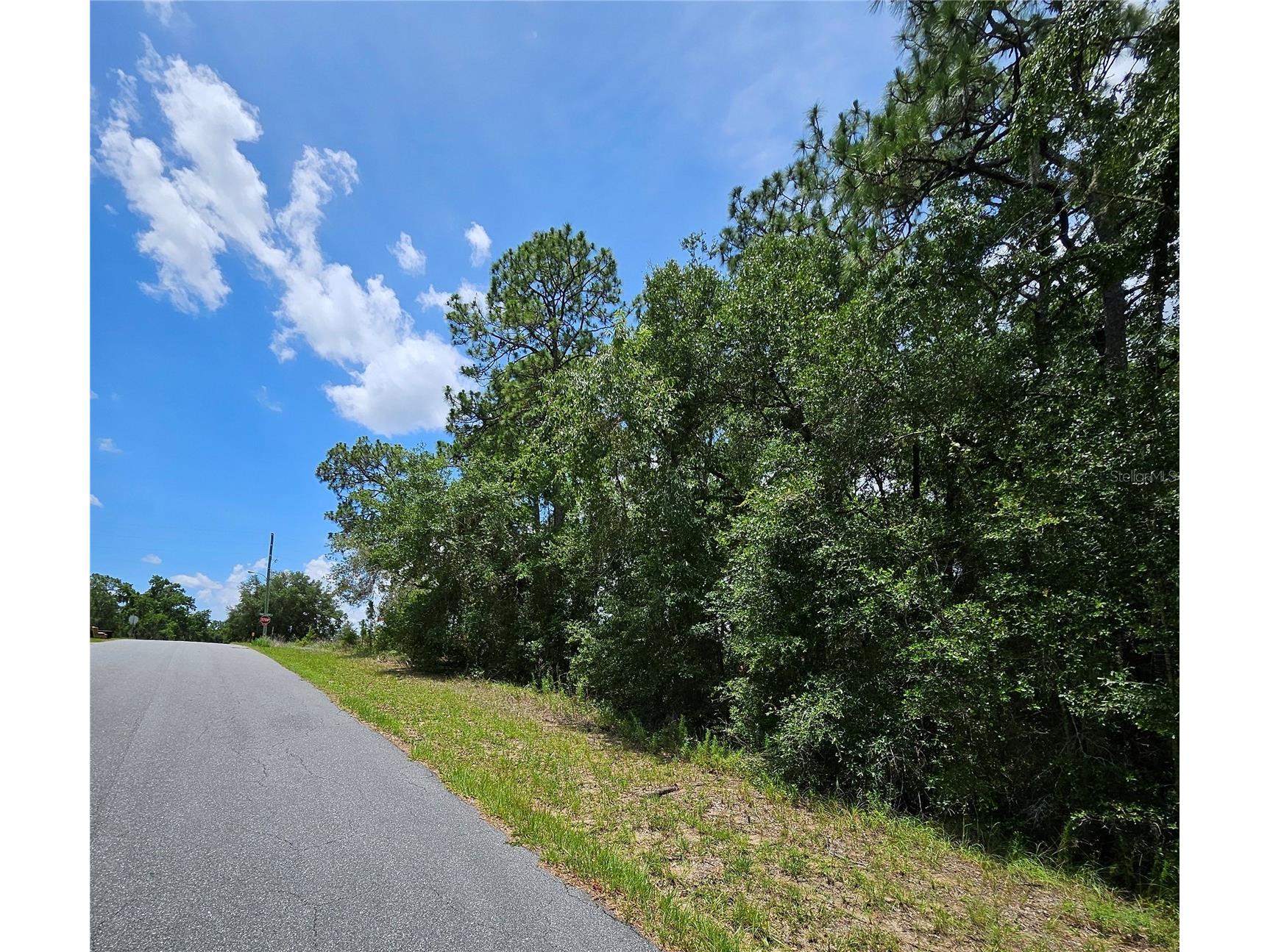 12350 S Elm Point Floral City FL 34436 TB8521582 image6