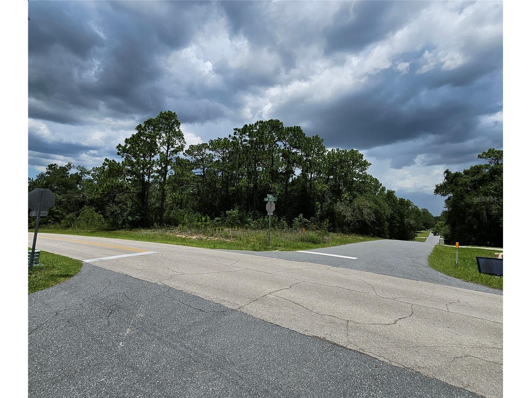 12350 S Elm Point Floral City FL 34436 TB8521582 image7