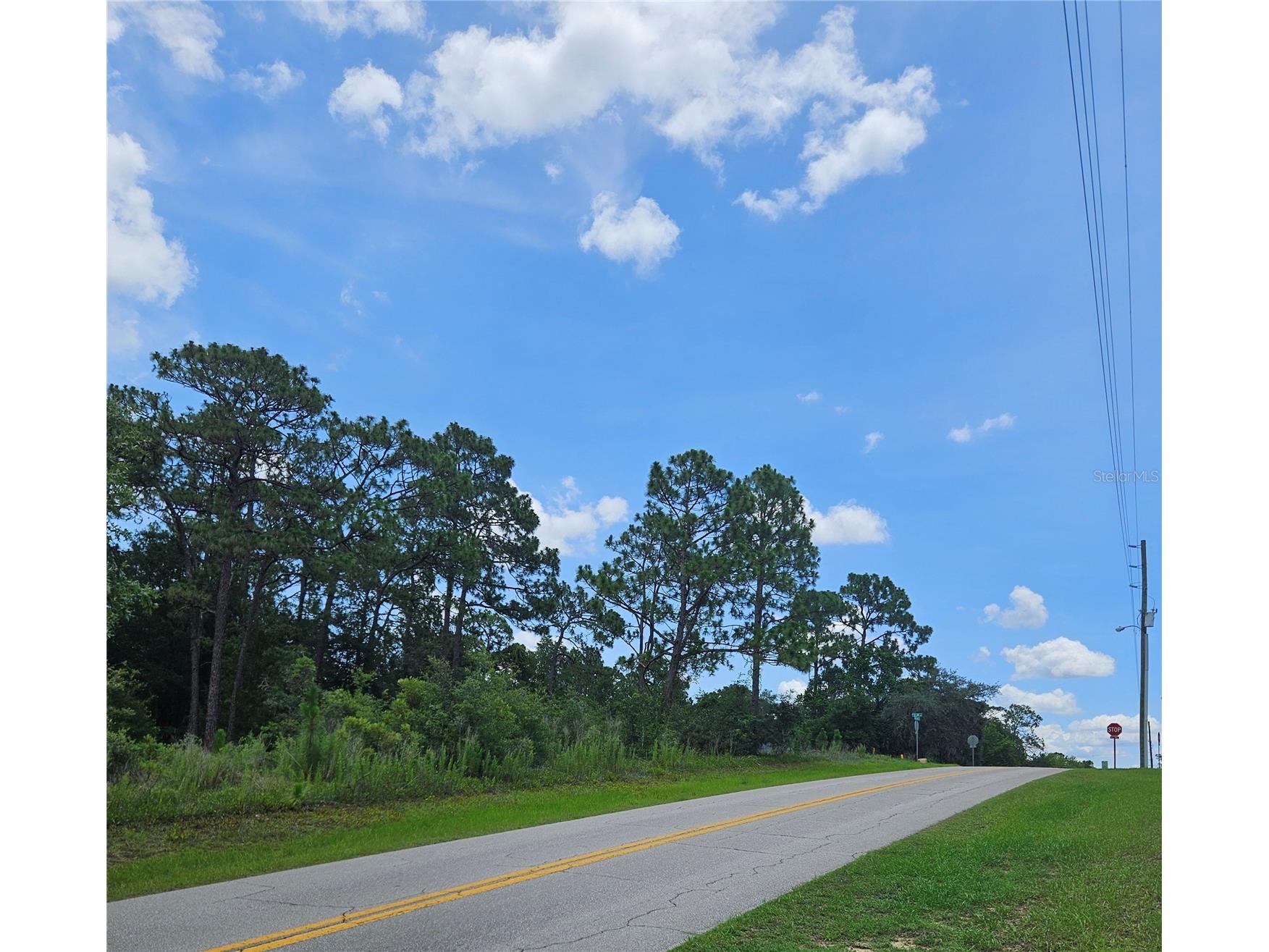 12350 S Elm Point Floral City FL 34436 TB8521582 image8