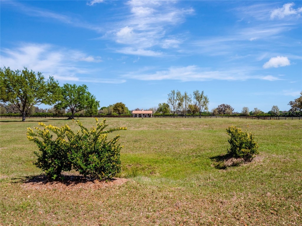 12350 SW 140th Loop Dunnellon FL 34432 OM698306 image35