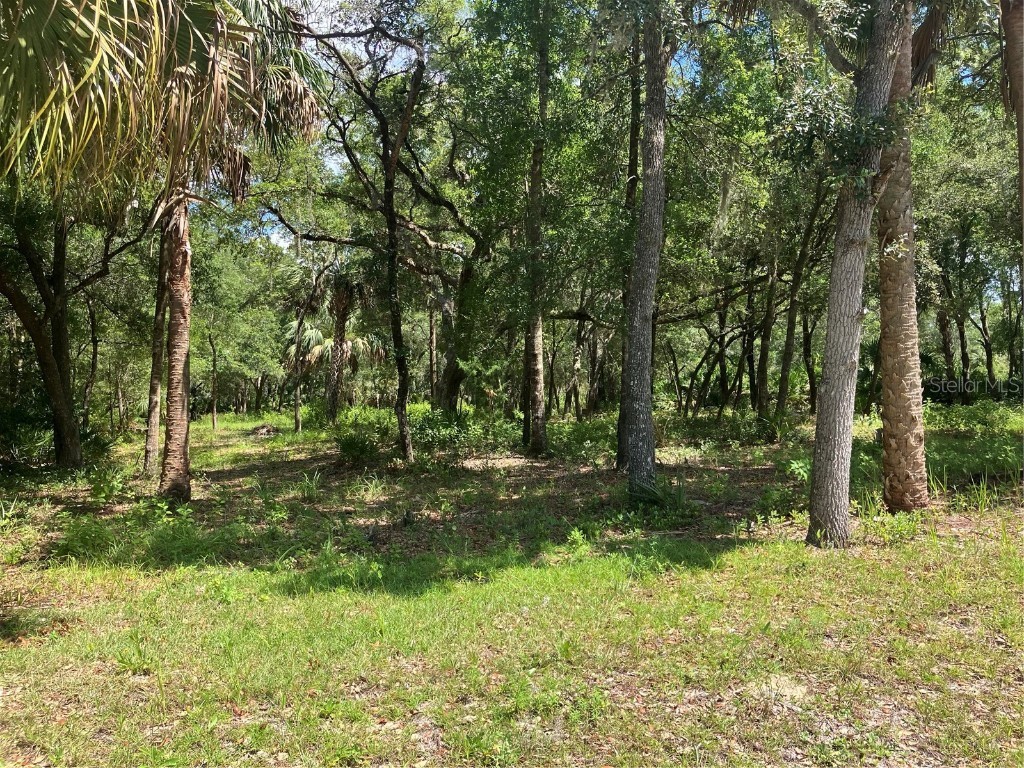 12350 W Riverwood Drive Crystal River FL 34428 A4656627 image1